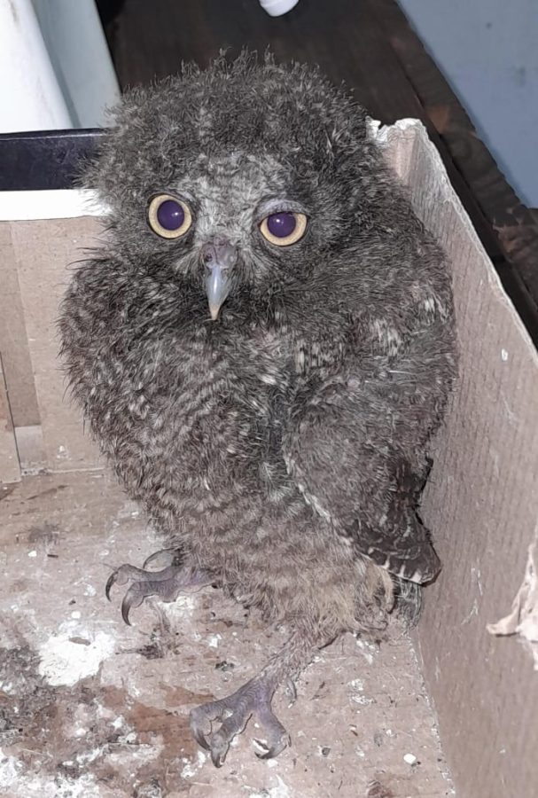 WhatsApp Image 2025 12 19 at 19.35.15 1 - 3