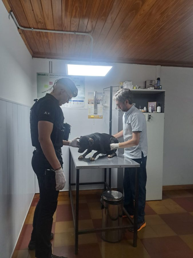 WhatsApp Image 2025 12 19 at 19.35.15 - 5