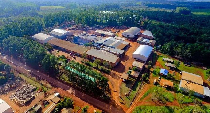 Yerba mate andresito (1)