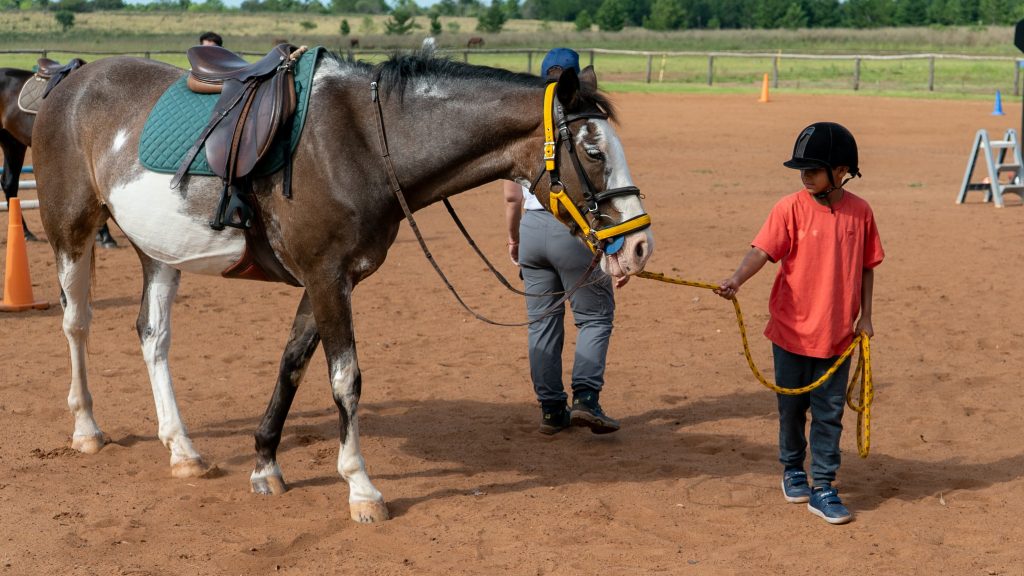 Concluyó el programa que combinó equinoterapia y arte para adolescentes del Hogar Padre Sepp 5 10 - equinoterapia 7 - 9