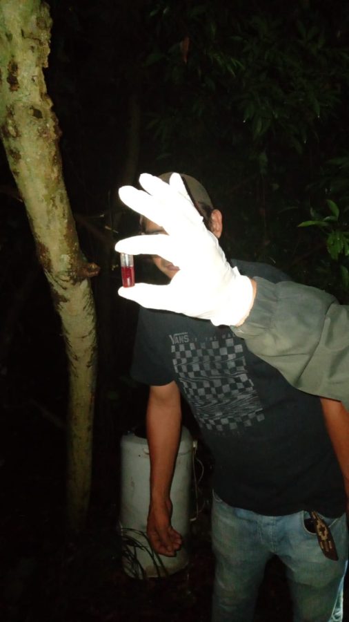 escondite droga en puerto rico 4 - 7