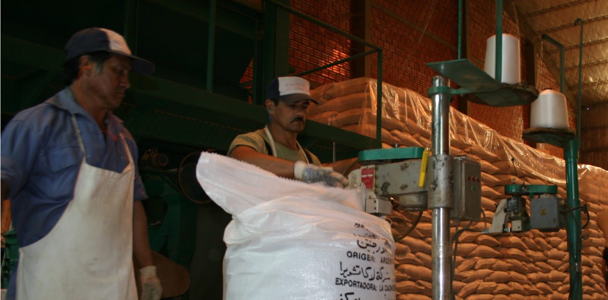 exportaciones de yerba