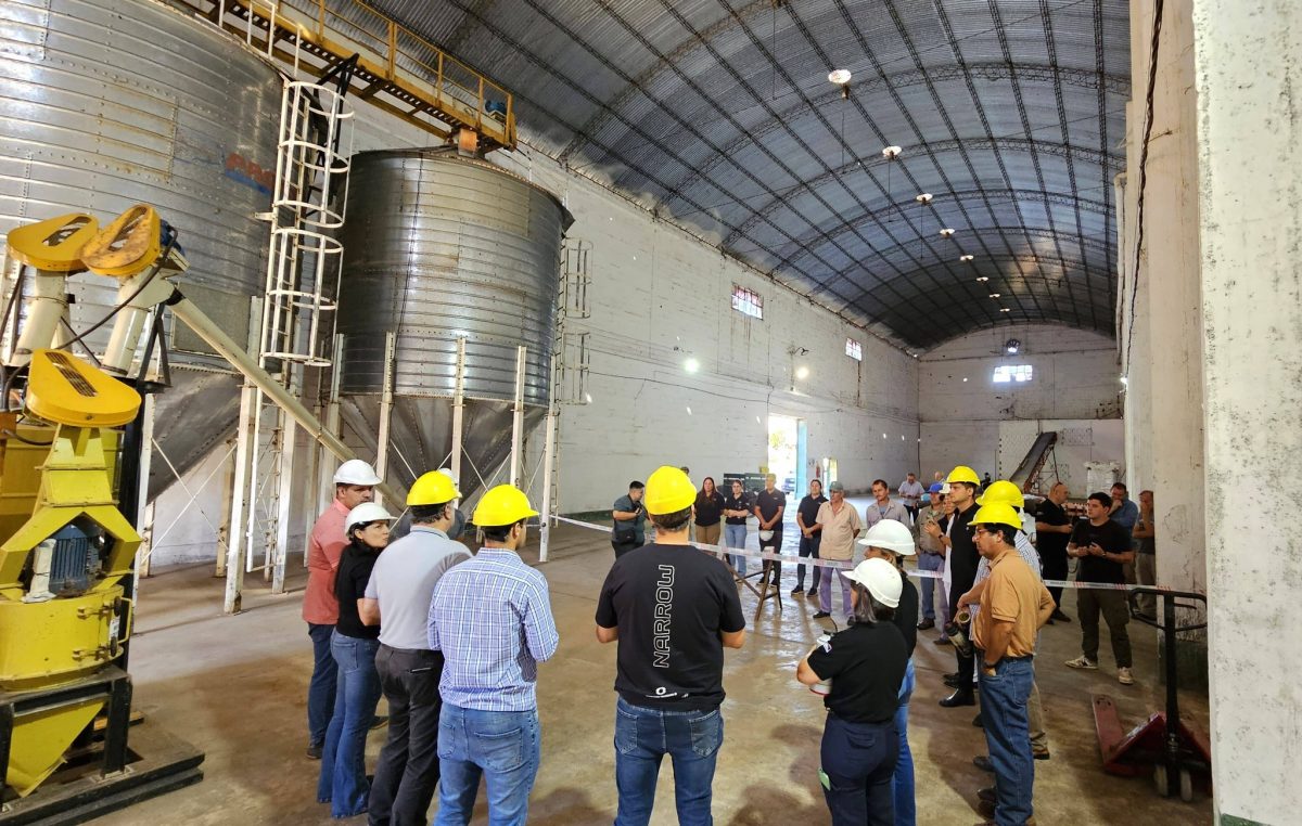 fabrica san javier 2 - 17