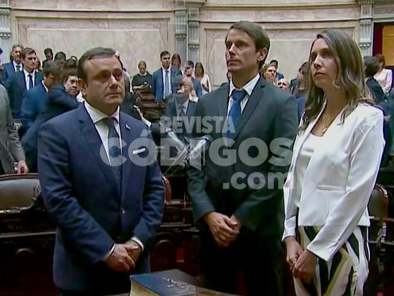 Diputados nacionales electos por Misiones juraron en el Congreso