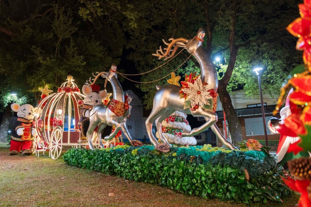 Hoy comienza la XXX Fiesta Nacional de la Navidad en Alem 10 20 - navidad en alem 11 - 19