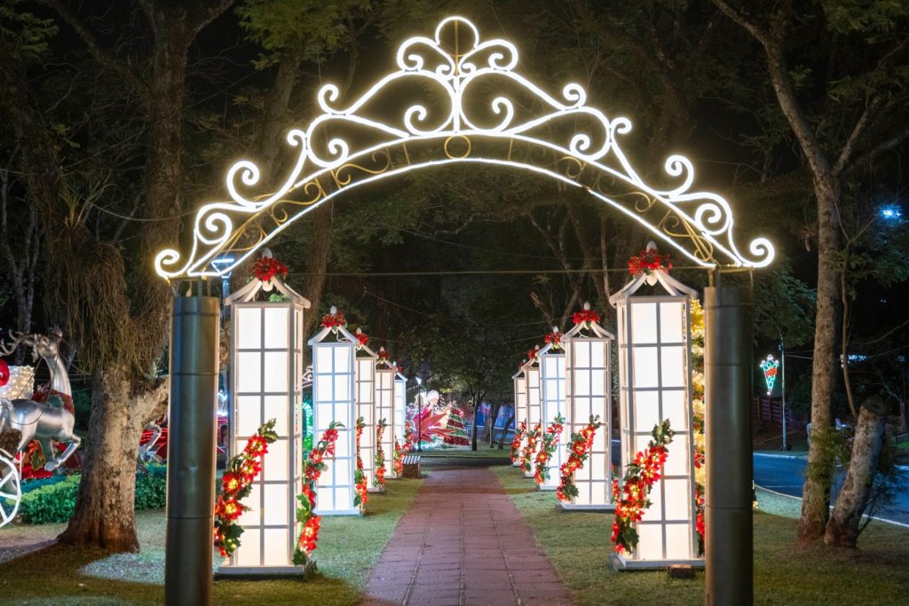 Hoy comienza la XXX Fiesta Nacional de la Navidad en Alem 2 4 - navidad en alem 7 - 3