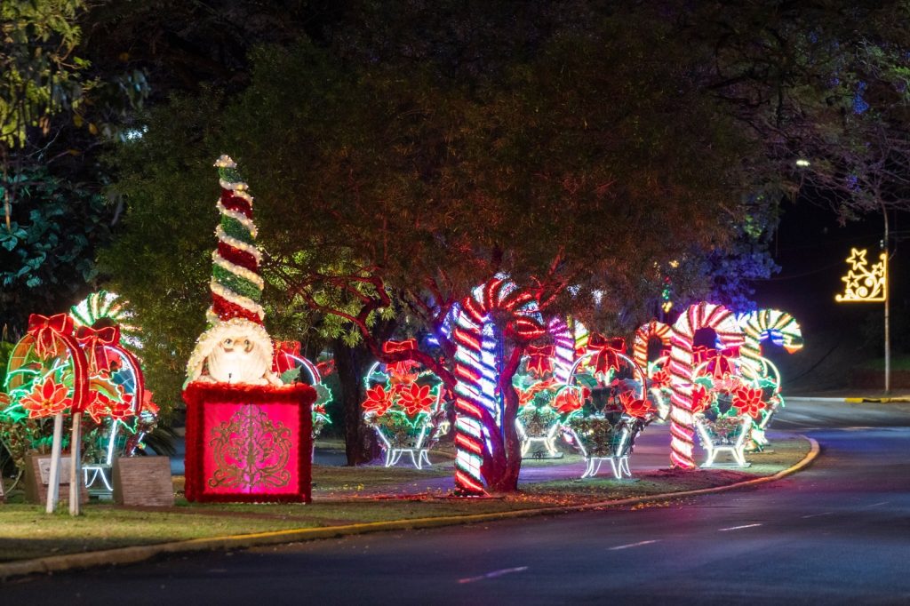 Hoy comienza la XXX Fiesta Nacional de la Navidad en Alem 8 16 - navidad en alem 8 - 15