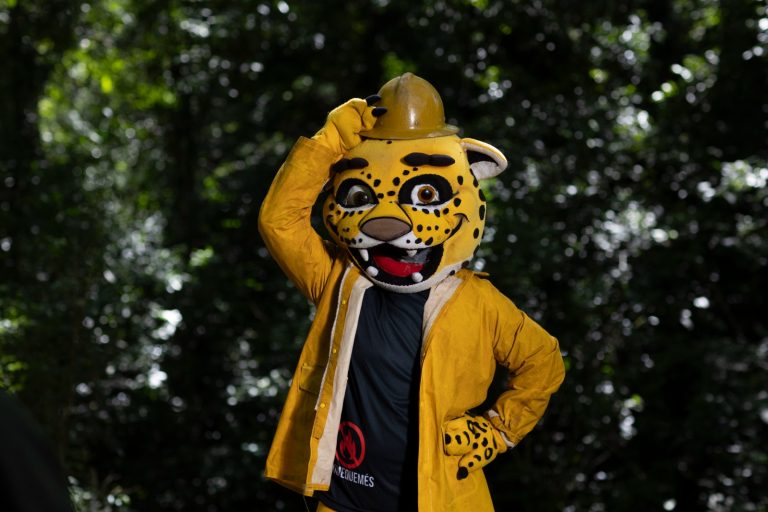 Prevención de incendios: Misiones refuerza su estrategia anual con la campaña “No me quemés”