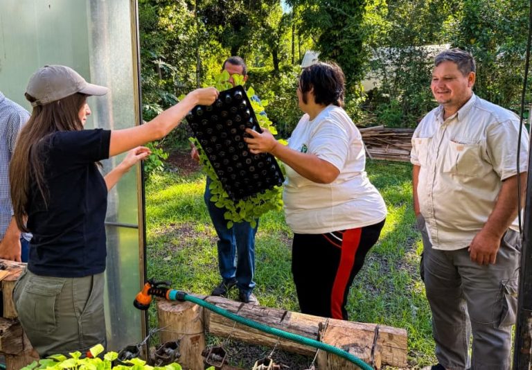 Entregaron más de 7.500 plantines horíticolas a productores de Eldorado