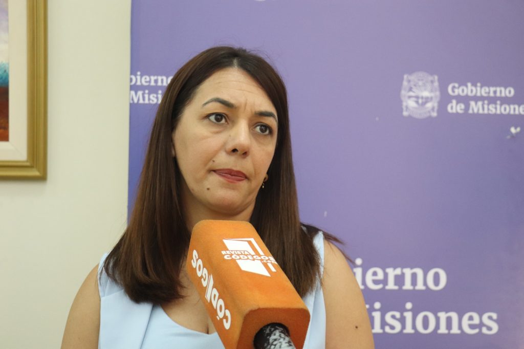 Presentaron relevamiento de niños y adolescentes en situación de vulnerabilidad en la triple frontera 4 8 - presentaron relevamiento 2 - 7