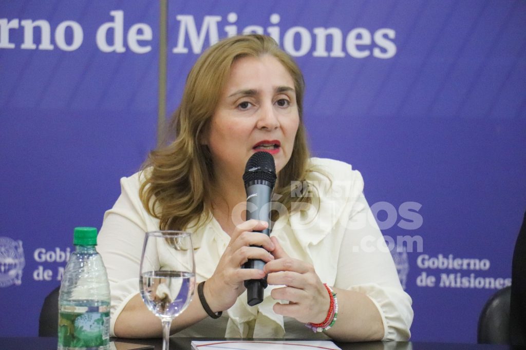 Presentaron relevamiento de niños y adolescentes en situación de vulnerabilidad en la triple frontera 3 6 - rosanna franco - 5