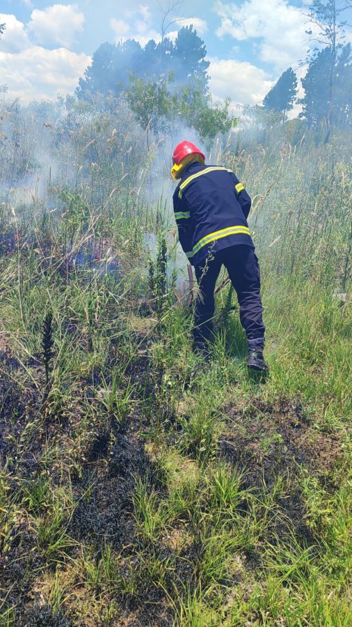Alerta de incendios bomberos sofocaron una quema en Santa Ana y llaman a la concientizacion 1 - 1