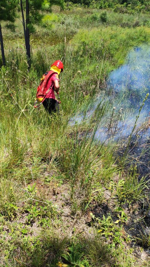 Alerta de incendios bomberos sofocaron una quema en Santa Ana y llaman a la concientizacion 3 - 5