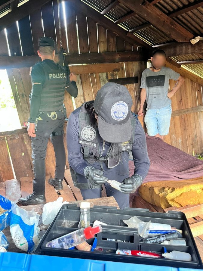 Allanaron una chacra con plantacion de marihuana en Puerto Leoni 1 - 1