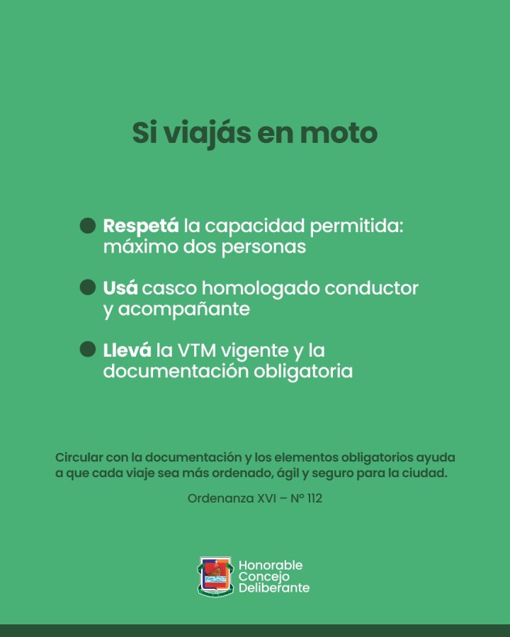 Documentación obligatoria para conducir: qué exige la ordenanza municipal de Posadas 3 6 - Documentacion obligatoria para conducir que exige la ordenanza municipal de Posadas 2 - 5