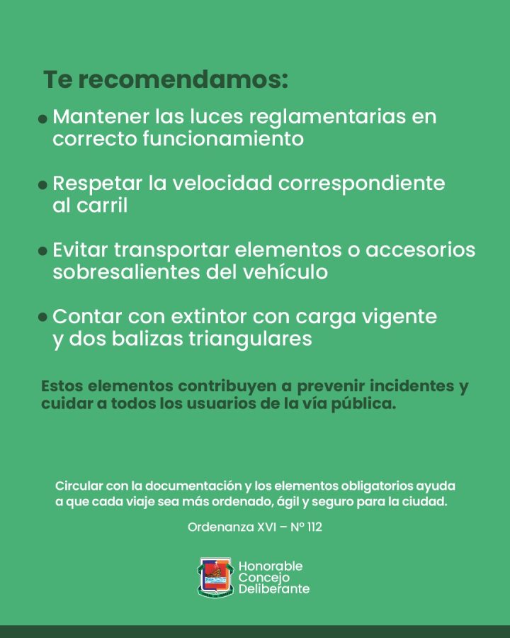 Documentación obligatoria para conducir: qué exige la ordenanza municipal de Posadas 2 4 - Documentacion obligatoria para conducir que exige la ordenanza municipal de Posadas 4 - 3