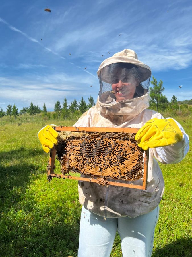 Misiones adhiere al Año Internacional de la Agricultora 2026 y refuerza políticas de igualdad rural 2 4 - Misiones adhiere al Ano Internacional de la Agricultora 2026 y refuerza politicas de igualdad rural 3 - 3