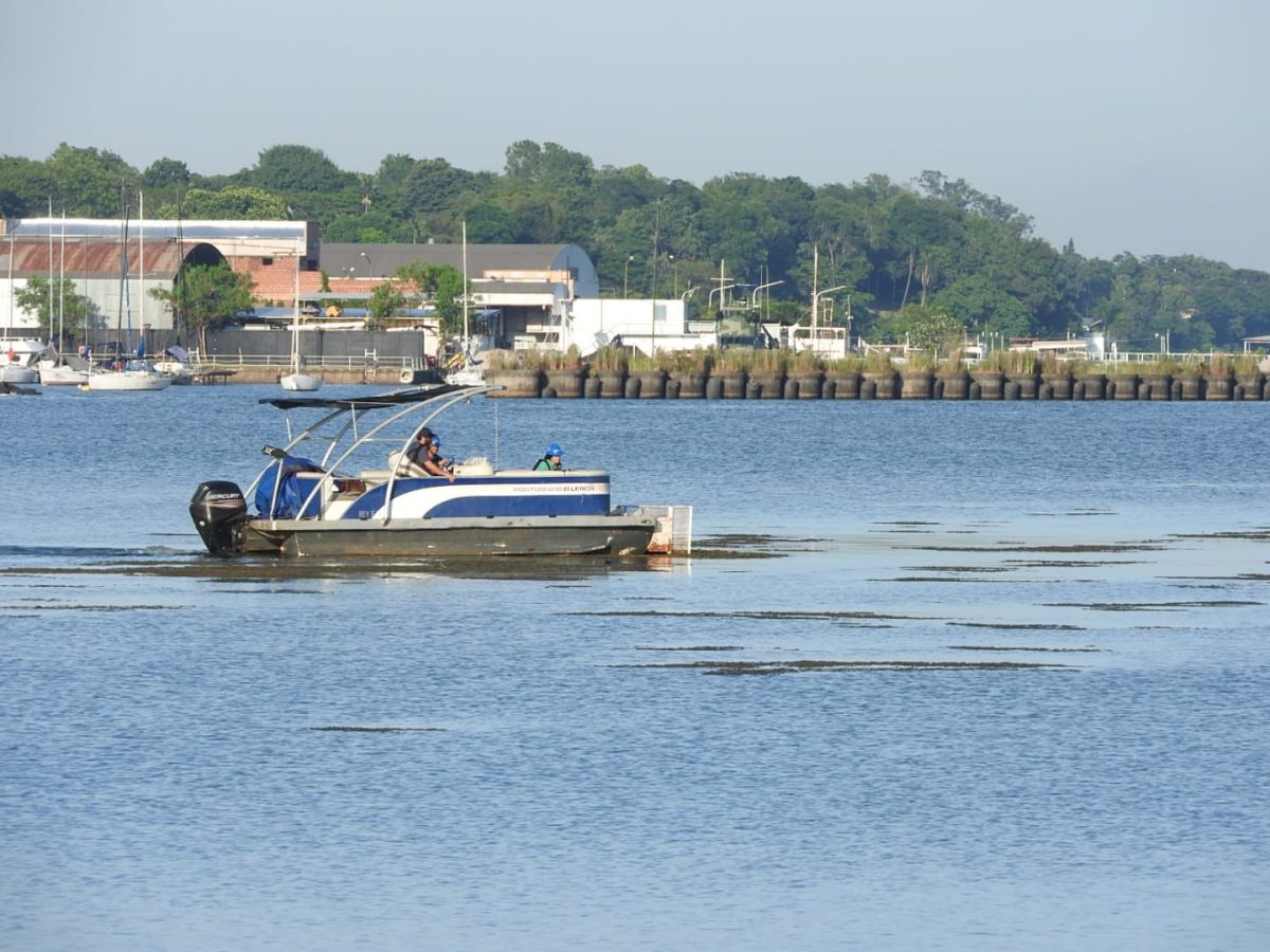 Posadas aumenta el monitoreo ambiental en balnearios ante riesgo de algas 2 - 1