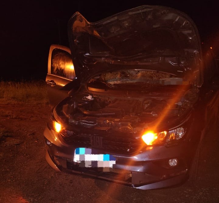 Un peaton murio atropellado sobre la ruta nacional 12 en Jardin America 2 - 1