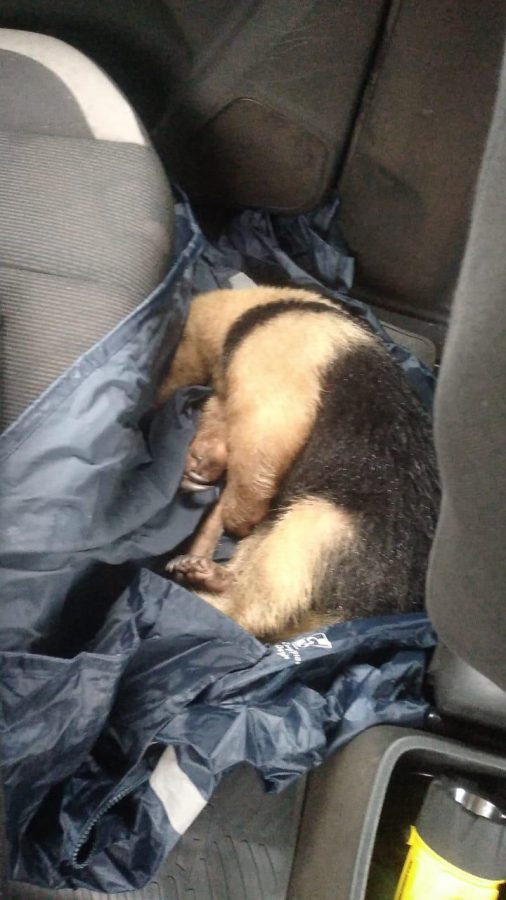 WhatsApp Image 2026 01 10 at 16.44.18 - 1