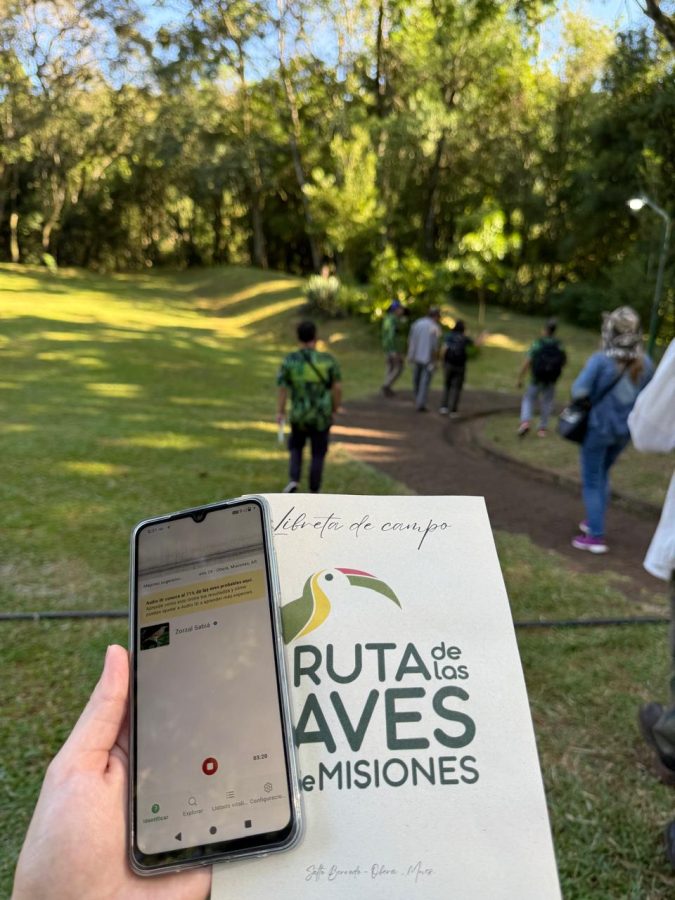 Oberá vivió una jornada observación e intercambio del programa Ruta de las Aves de Misiones 4 8 - WhatsApp Image 2026 01 25 at 11.47.04 - 7