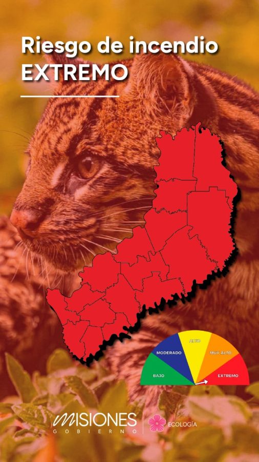 Misiones bajo riesgo extremo de incendios 1 2 - riesgo de incendios - 1