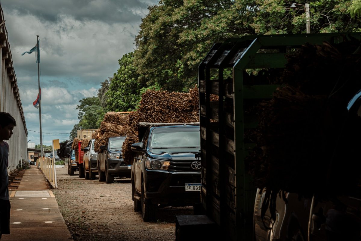 Passalacqua destacó el acuerdo por el precio del tabaco: “El diálogo y el consenso son el camino” 3 6 - tabaco 2 - 5