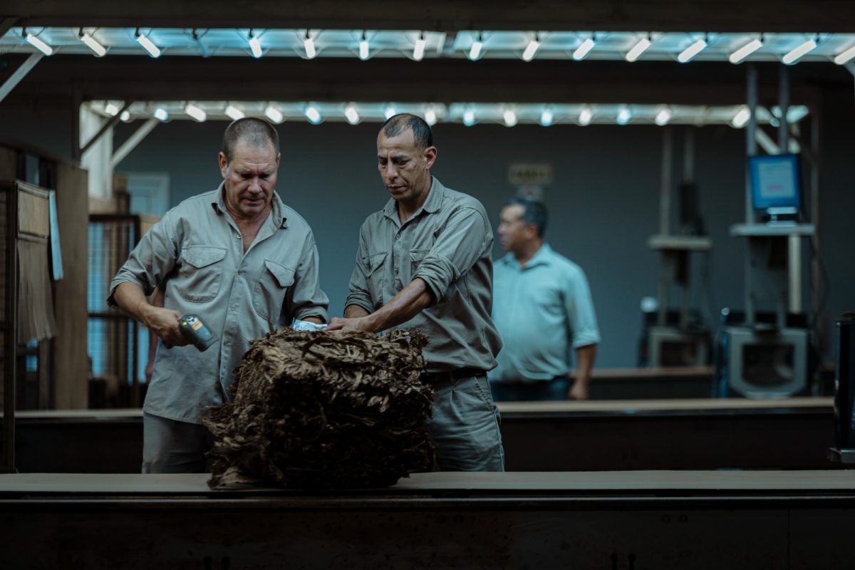 Passalacqua destacó el acuerdo por el precio del tabaco: “El diálogo y el consenso son el camino” 1 2 - tabaco 3 - 1