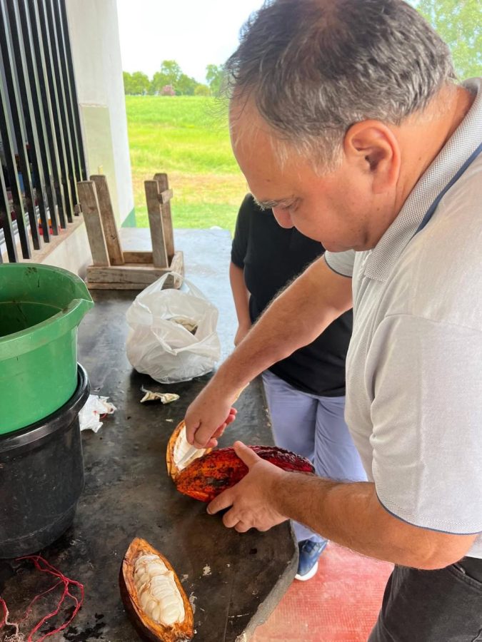 Misiones impulsa un proyecto para cultivar cacao y diversificar la producción agrícola 3 6 - Cacao 4 - 5