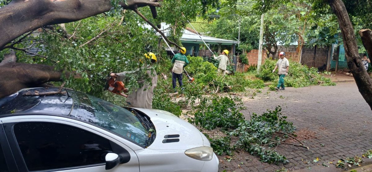 Tareas de relevamiento y operativos de prevencion tras el temporal en Posadas 3 - 21