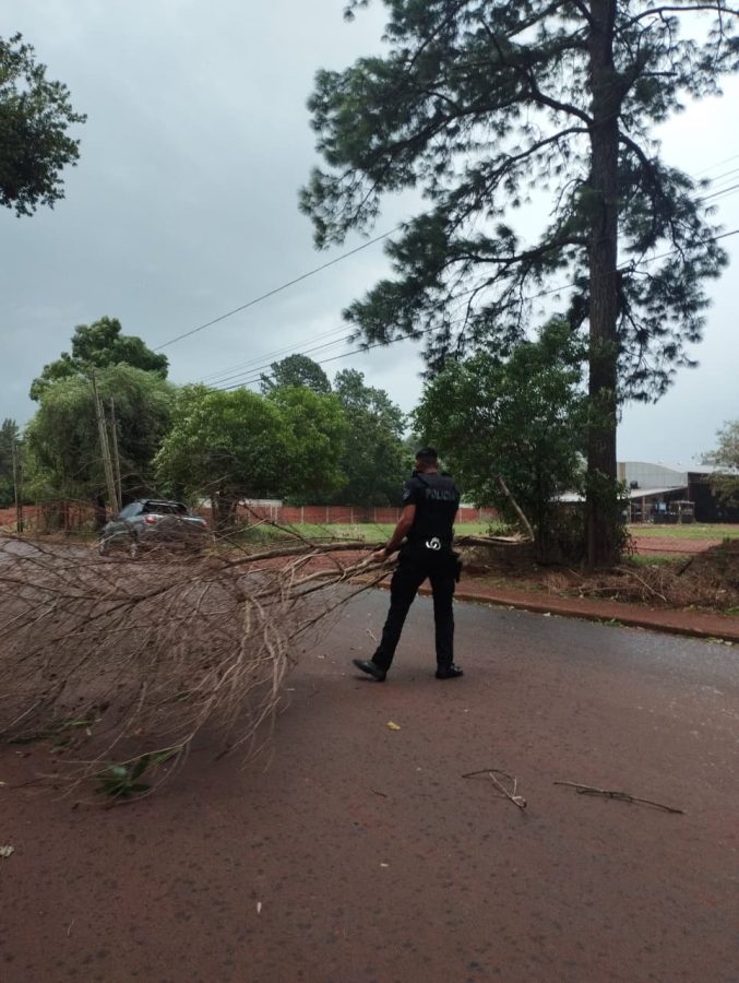 Tareas de relevamiento y operativos de prevencion tras el temporal en Posadas 9 - 11
