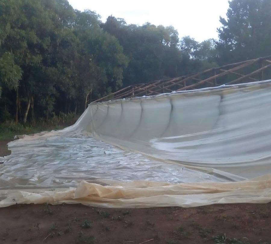 El IMaC asiste a productores afectados por temporales en Misiones 1 2 - Tormentas 1 - 1