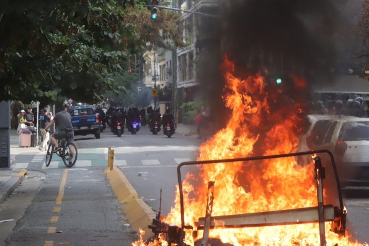 WhatsApp Image 2026 02 11 at 17.59.39 - 5