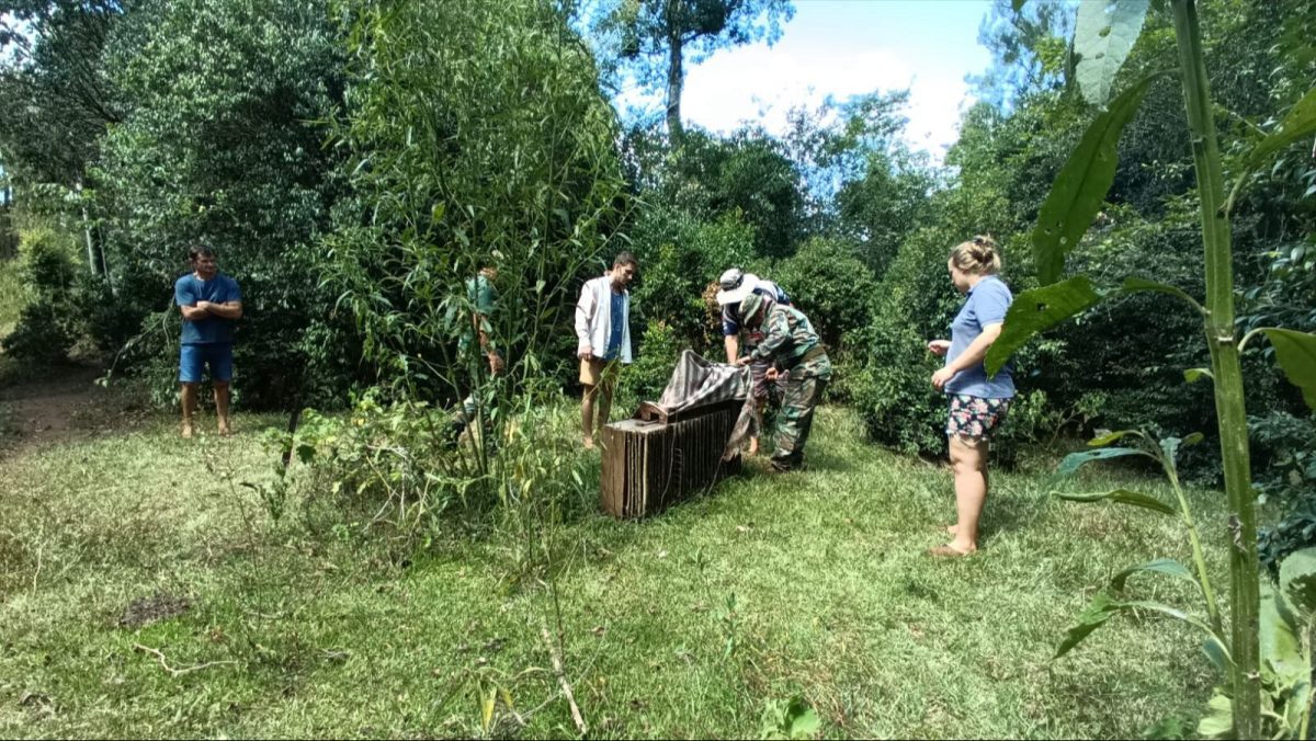 animal andresito 1 - 1