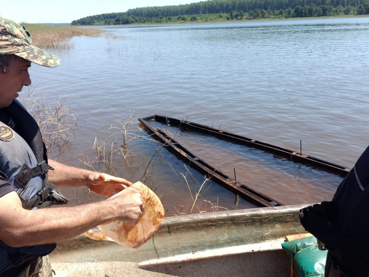 ecologia operativo 1 - 1