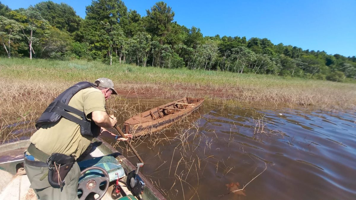 ecologia operativo 2 - 3