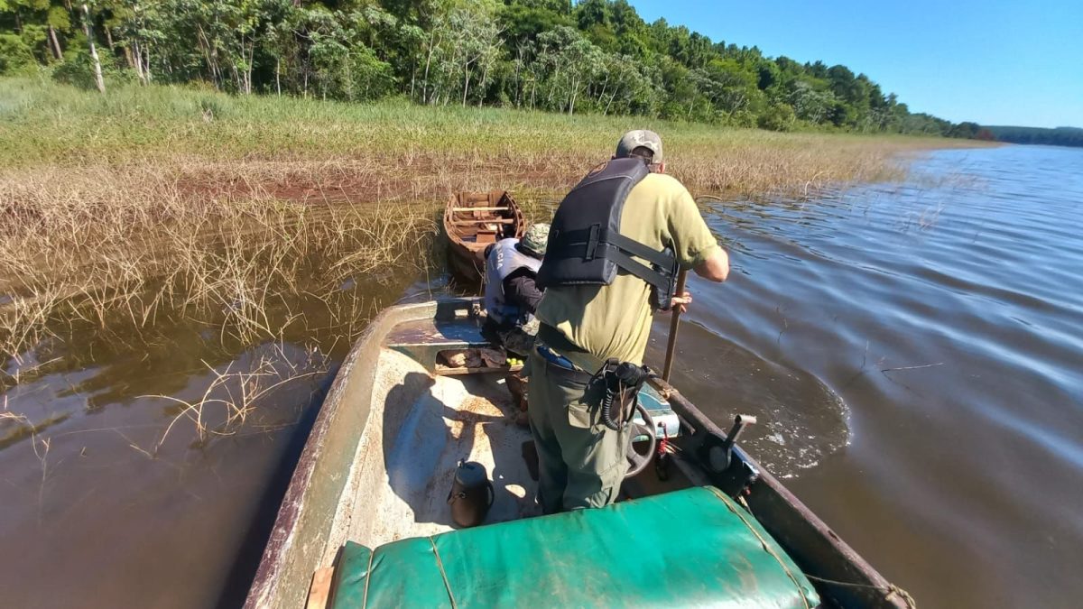 ecologia operativo 4 - 7