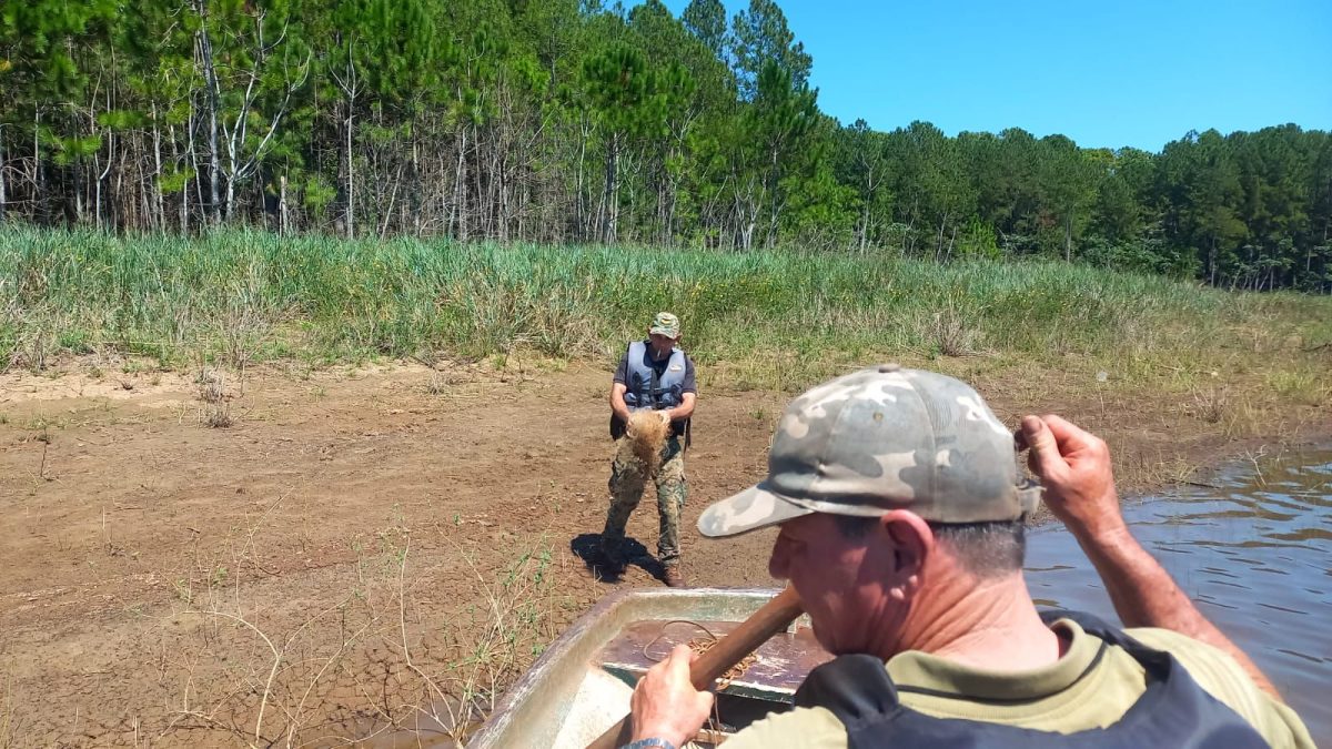 ecologia operativo 6 - 11