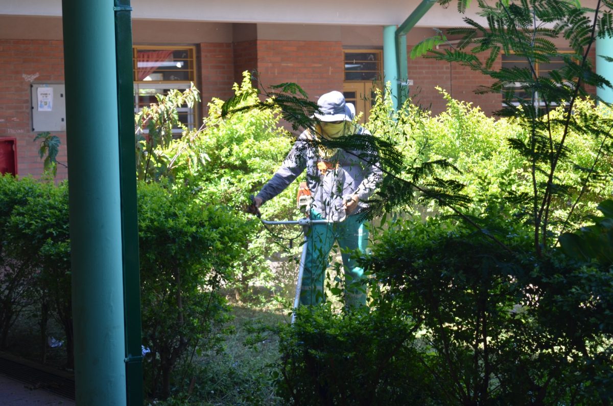 escuelas seguras 8 - 15