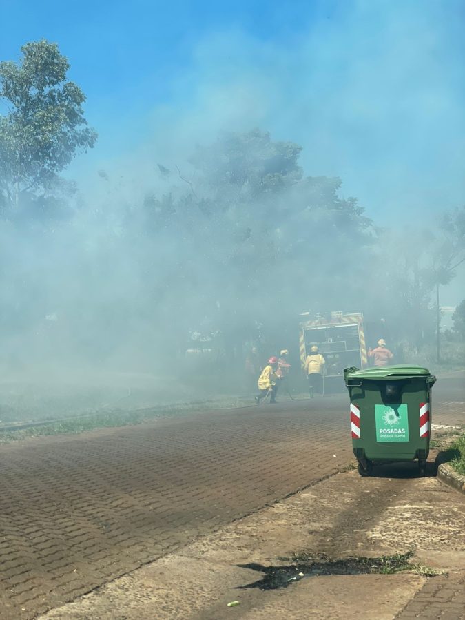 Bomberos sofocaron incendio de malezas en Posadas 1 2 - incendio malezas 1 1 - 1