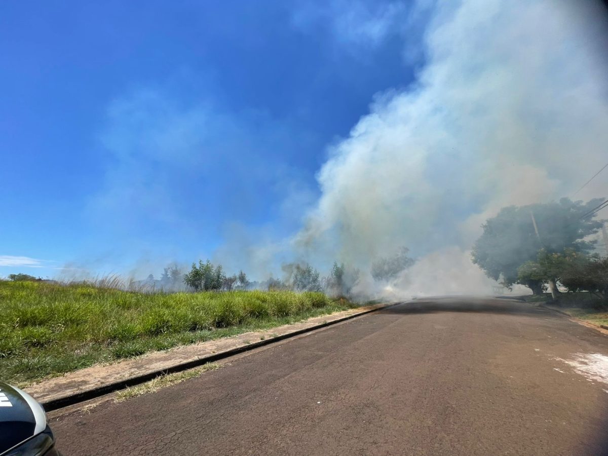 Bomberos sofocaron incendio de malezas en Posadas 3 6 - incendio malezas 3 - 5