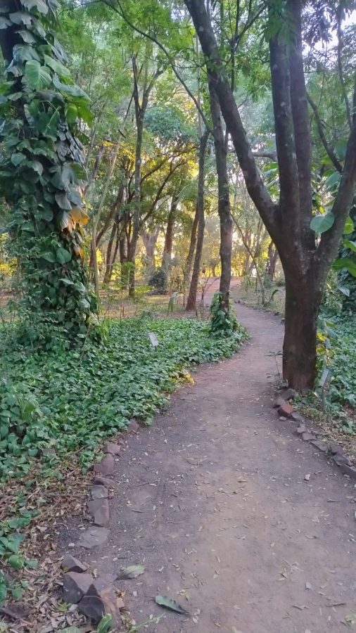 jardin botanico 5 - 9