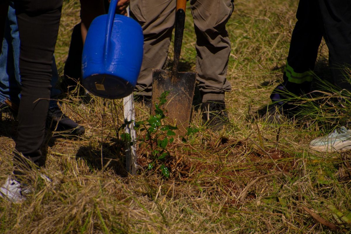 Misiones puso en valor la protección de los humedales con una jornada en Campo Grande 6 12 - jornada campo grande 6 - 11