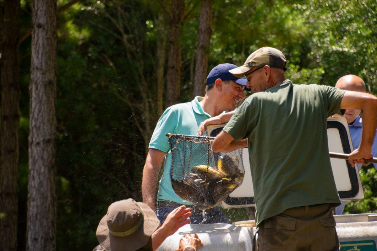 Misiones puso en valor la protección de los humedales con una jornada en Campo Grande 7 14 - jornada campo grande 7 - 13