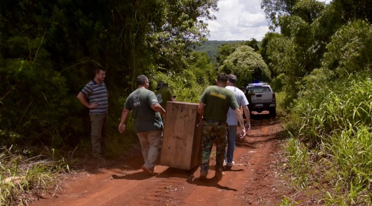 liberacion animales 5 - 3