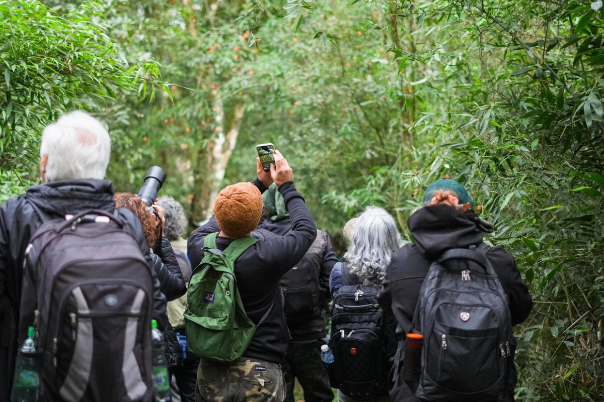 observación de aves (3)
