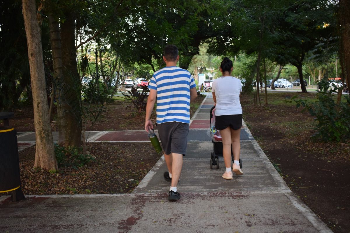 posadas en feriado 5 - 7