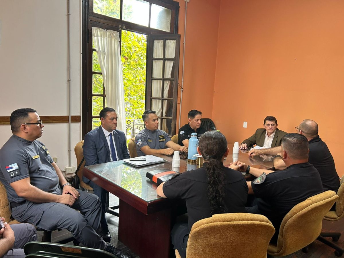 safran policias 1 - 1