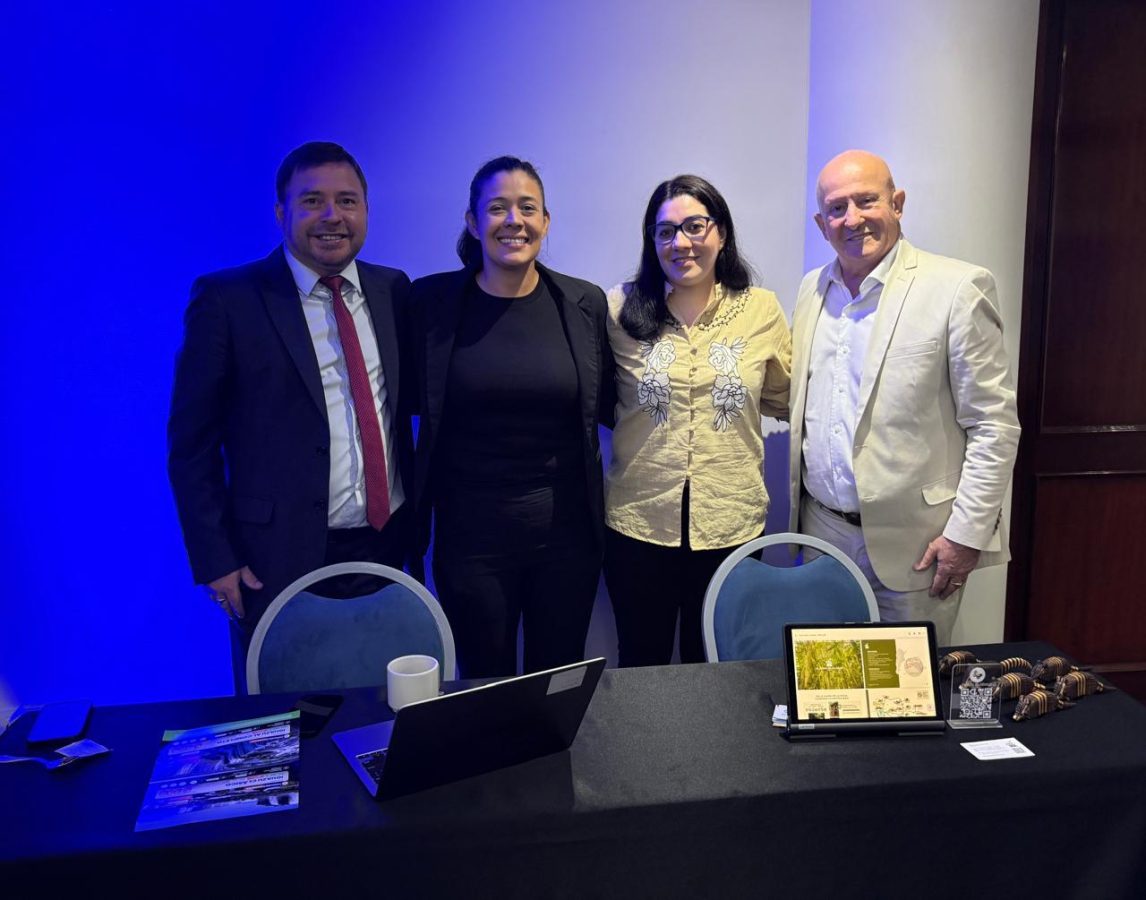 vuelo iguazu lima 2 - 5