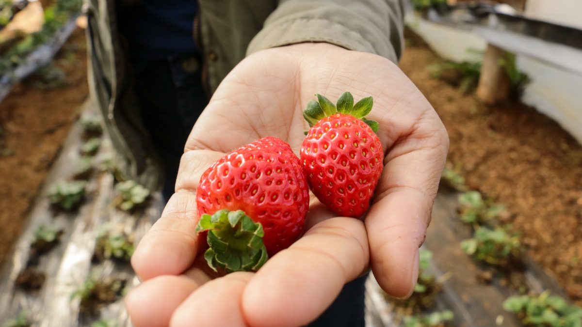 20230716114729 IMG 1775 - 1